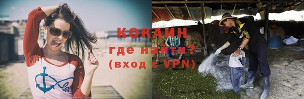 винт Бородино
