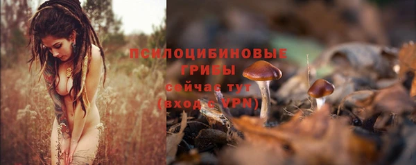 стаф Волоколамск