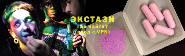 индика Бугульма