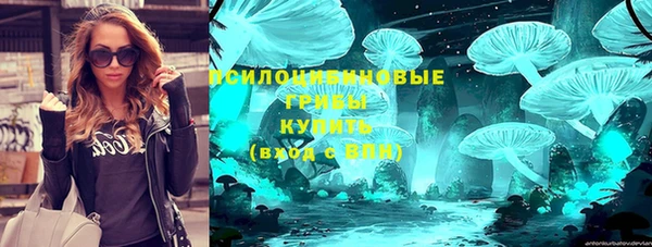 индика Бугульма