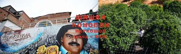 индика Бугульма