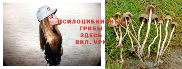 сатива Володарск