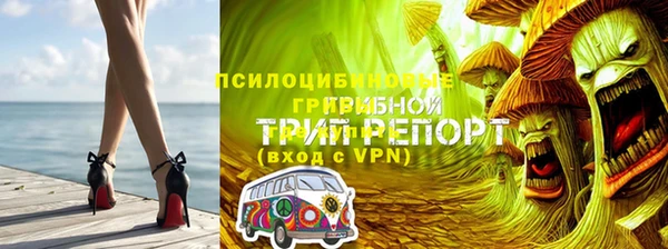 индика Бугульма