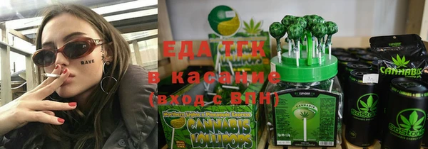 индика Бугульма