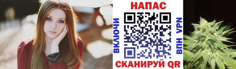 это как зайти  Задонск  Канабис сатива 